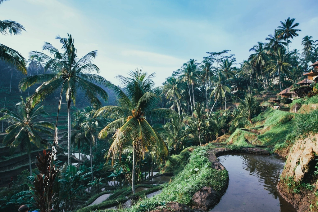 Bali