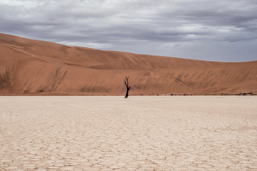 Sossusvlei & Damaraland