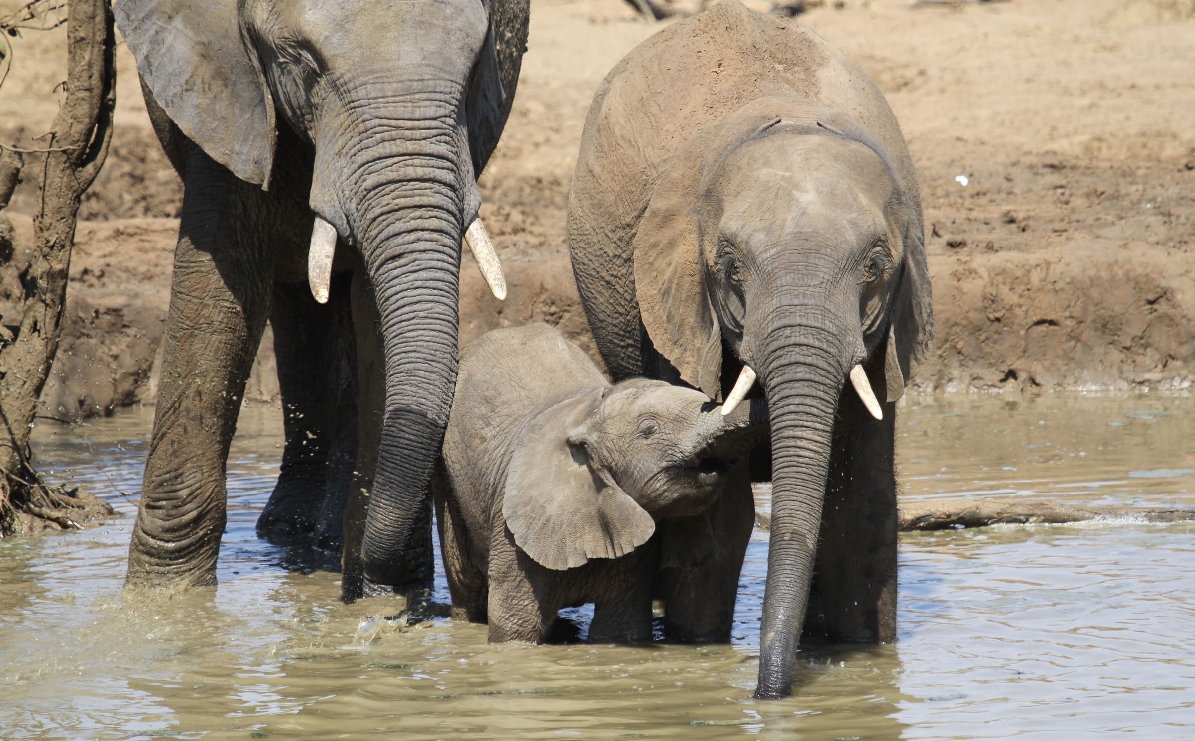 The Okavango Delta