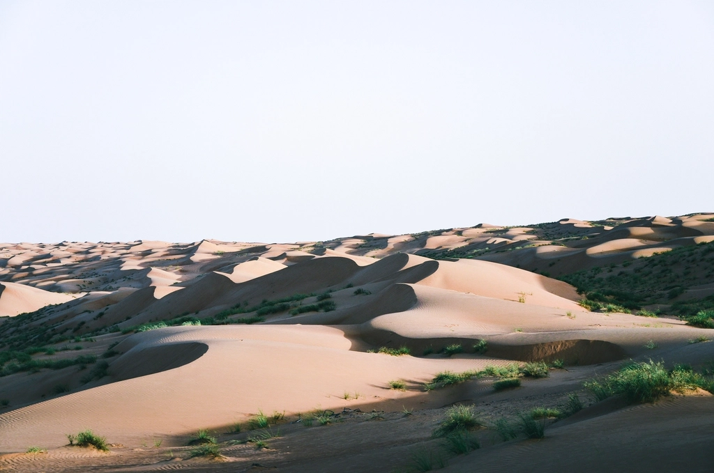 Oman: Muscat & the Hajar Mountains