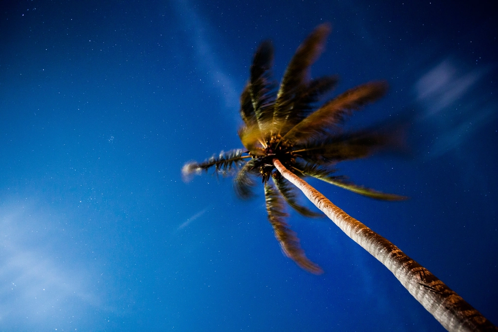 Riviera Maya & Tulum