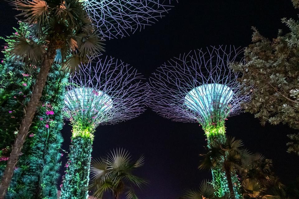 Singapore