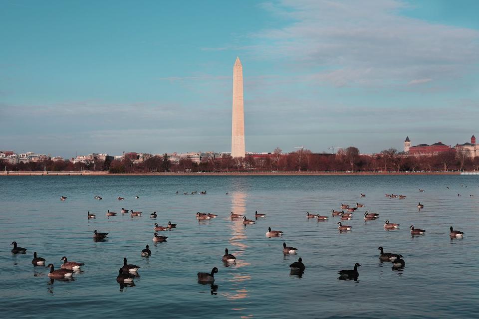 Washington, D.C.